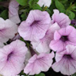 Meet your Posher, Katelyn